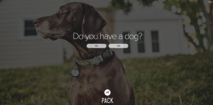 trend web design 2015 esempio large background